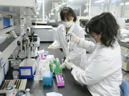 “추석밥상 안전 이상 무” 순창군, 제수용 농산물 꼼꼼히 살펴 기사 이미지